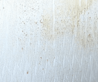 1695665309761991.gif
