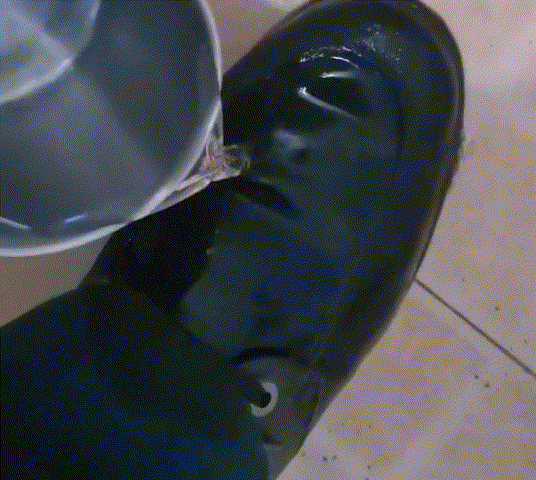 1697351973645209.gif